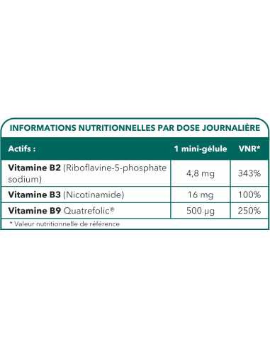Methyl B9 Complex - Carence en vitamine B9 - Maintien des globules rouges - Tableau des ingrédients