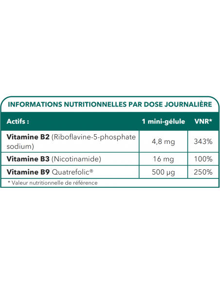 Methyl B9 Complex - Carence en vitamine B9 - Maintien des globules rouges - Tableau des ingrédients