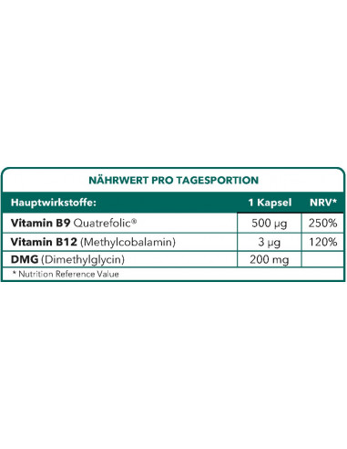 Bionops Methylnat - Vitamine B9 + DMG - Tableau des ingrédients en allemand