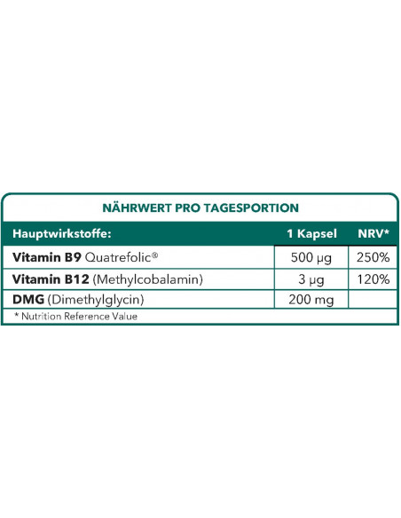 Bionops Methylnat - Vitamine B9 + DMG - Tableau des ingrédients en allemand Bionops Methylnat - Vitamine B9 + DMG - Tableau des ingrédients en allemand