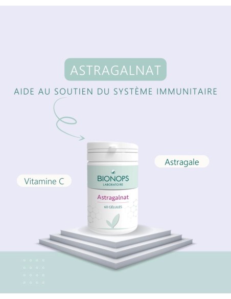 Bionops Astragalnat - Astragale 1000 mg - 2 Bionops Astragalnat - Astragale 1000 mg - 2