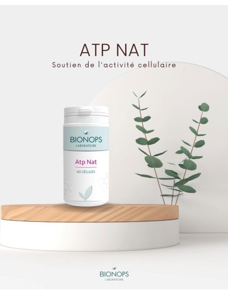 ATP NAT 60 gélules - Complément Alimentaire Antixoxydant des mitochondries - Bionops - 2