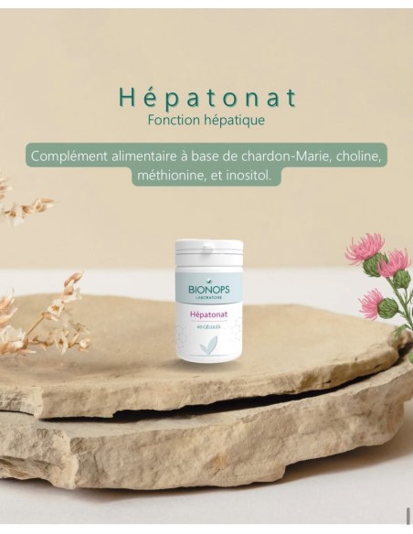 Bionops Hépatonat - Choline Citrate, Chardon Marie, Inositol, Méthionine pour la Detox foie - Bienfaits
