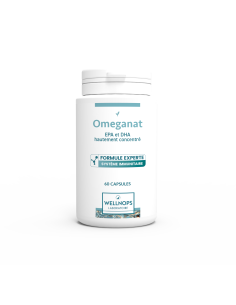 Omeganat 60